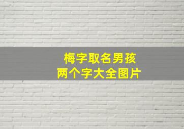 梅字取名男孩两个字大全图片