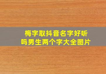 梅字取抖音名字好听吗男生两个字大全图片