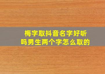 梅字取抖音名字好听吗男生两个字怎么取的