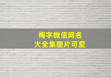 梅字微信网名大全集图片可爱