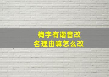 梅字有谐音改名理由嘛怎么改