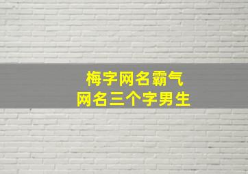 梅字网名霸气网名三个字男生