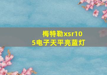 梅特勒xsr105电子天平亮蓝灯