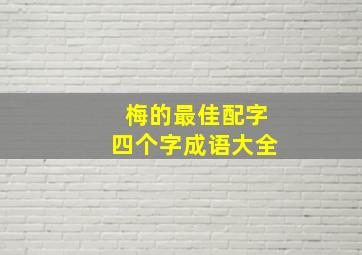 梅的最佳配字四个字成语大全