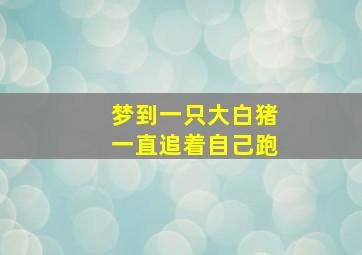 梦到一只大白猪一直追着自己跑