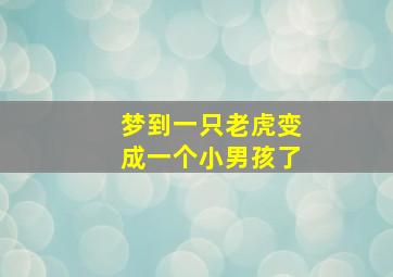 梦到一只老虎变成一个小男孩了