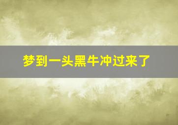 梦到一头黑牛冲过来了