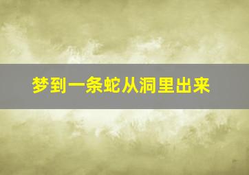 梦到一条蛇从洞里出来