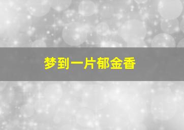 梦到一片郁金香