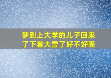 梦到上大学的儿子回来了下着大雪了好不好呢