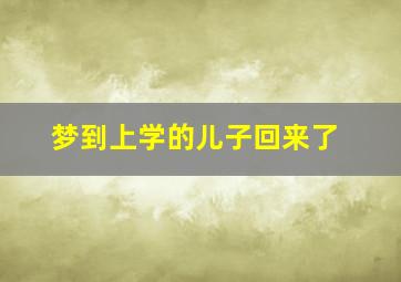 梦到上学的儿子回来了