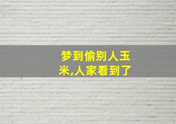 梦到偷别人玉米,人家看到了