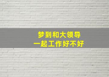 梦到和大领导一起工作好不好