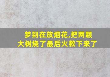 梦到在放烟花,把两颗大树烧了最后火救下来了