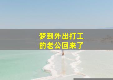 梦到外出打工的老公回来了