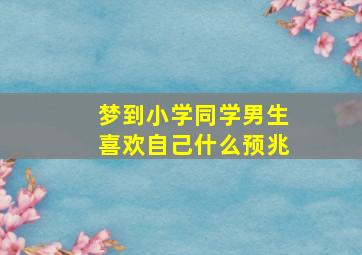 梦到小学同学男生喜欢自己什么预兆