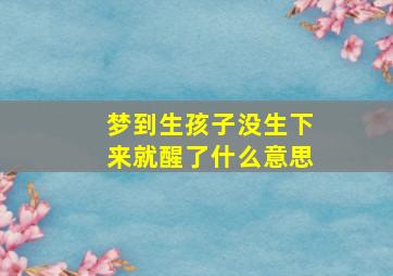 梦到生孩子没生下来就醒了什么意思