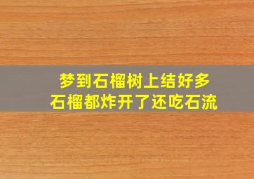 梦到石榴树上结好多石榴都炸开了还吃石流