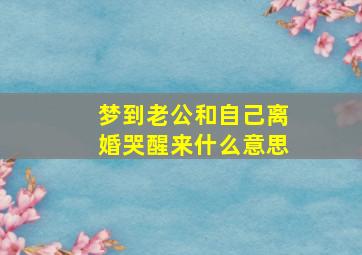 梦到老公和自己离婚哭醒来什么意思