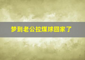 梦到老公拉煤球回家了