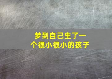 梦到自己生了一个很小很小的孩子