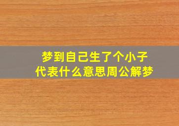 梦到自己生了个小子代表什么意思周公解梦