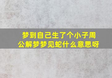 梦到自己生了个小子周公解梦梦见蛇什么意思呀