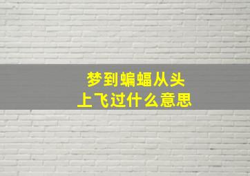 梦到蝙蝠从头上飞过什么意思