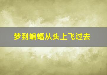 梦到蝙蝠从头上飞过去