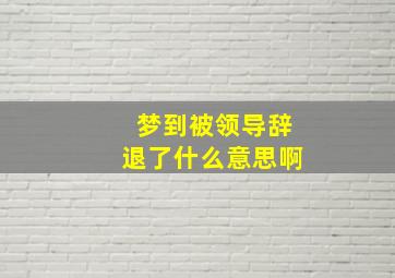 梦到被领导辞退了什么意思啊