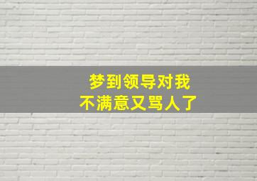 梦到领导对我不满意又骂人了