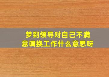 梦到领导对自己不满意调换工作什么意思呀