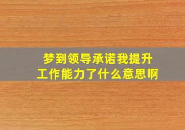 梦到领导承诺我提升工作能力了什么意思啊