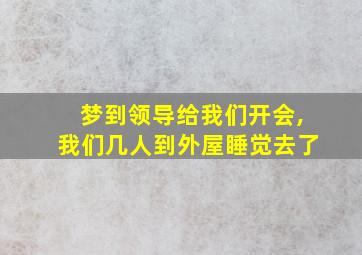 梦到领导给我们开会,我们几人到外屋睡觉去了