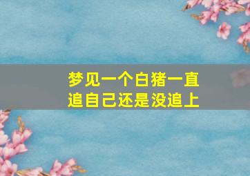 梦见一个白猪一直追自己还是没追上