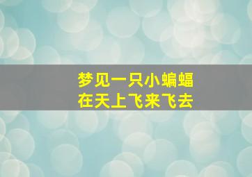 梦见一只小蝙蝠在天上飞来飞去