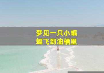 梦见一只小蝙蝠飞到油桶里