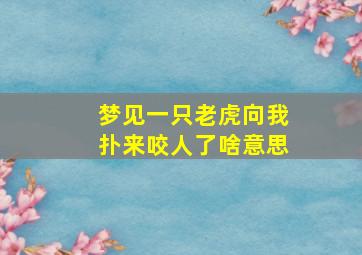 梦见一只老虎向我扑来咬人了啥意思