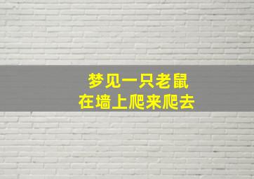 梦见一只老鼠在墙上爬来爬去