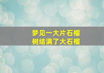 梦见一大片石榴树结满了大石榴