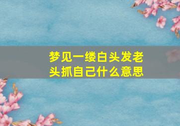 梦见一缕白头发老头抓自己什么意思