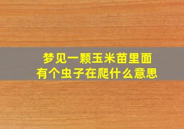 梦见一颗玉米苗里面有个虫子在爬什么意思