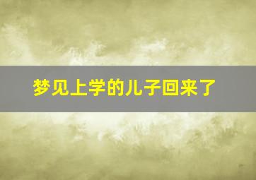 梦见上学的儿子回来了