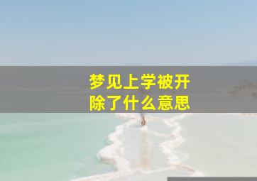 梦见上学被开除了什么意思