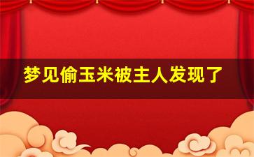 梦见偷玉米被主人发现了