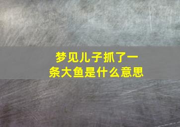 梦见儿子抓了一条大鱼是什么意思