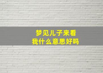 梦见儿子来看我什么意思好吗