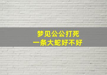 梦见公公打死一条大蛇好不好