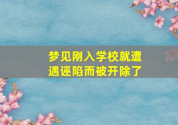 梦见刚入学校就遭遇诬陷而被开除了