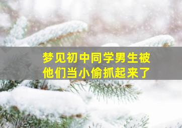 梦见初中同学男生被他们当小偷抓起来了